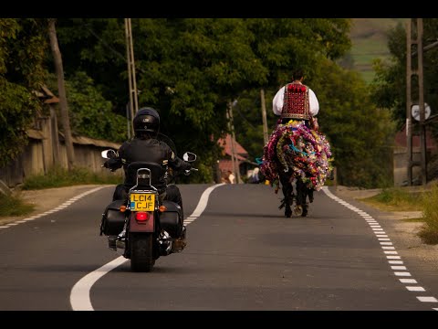 Flavours of Romania trailer