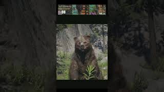 RDR2 | RTX 5060 8GB GIGABYTE GAMING OC | 2K Performance