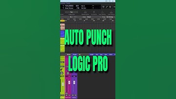 Hoe AUTO PUNCH LOGIC PRO te gebruiken