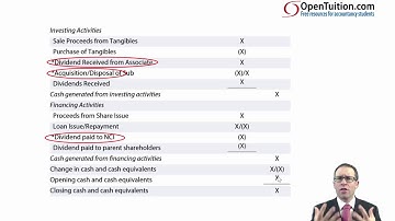Consolidated Statement of Cash Flows - Dividend paid to non-controlling interest