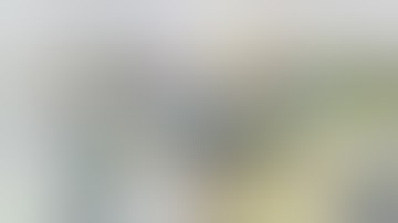 Rose Video Review of the Arngren.net website