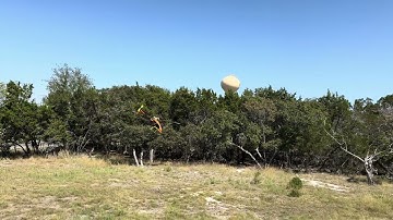 MSH Mini Protos on Rotorflight, Oct 8 2024 flight 1