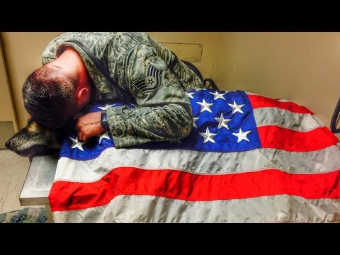 Former Military Dog Draped In American Flag After He Was Put Down