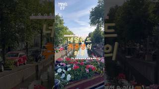 이사차 그게 ￼뭔데...? 또 지긋지긋한 이사하는 ￼￼네덜란드 취준생의 일상 📦