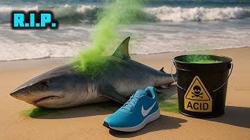 Brainrots But ALL DiED Part 2 (Original Music Video)