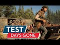 Days Gone Test / Review der PC-Version