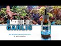 Gesunde &amp; vitale Fische in deinem Aquarium - MICROBE-LIFT Garlic Knoblauch-Futterzusatz - erklärt