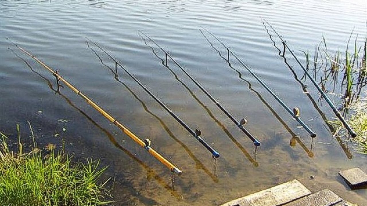 Можно ли сейчас ловить на удочку. Удочка для рыбалки. Река удочка. Рыбалка удочка озеро. Рыбалка с удочкой на реке.