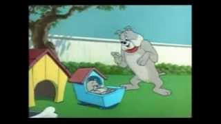 Tom-and-Jerry-5-BG-Parody