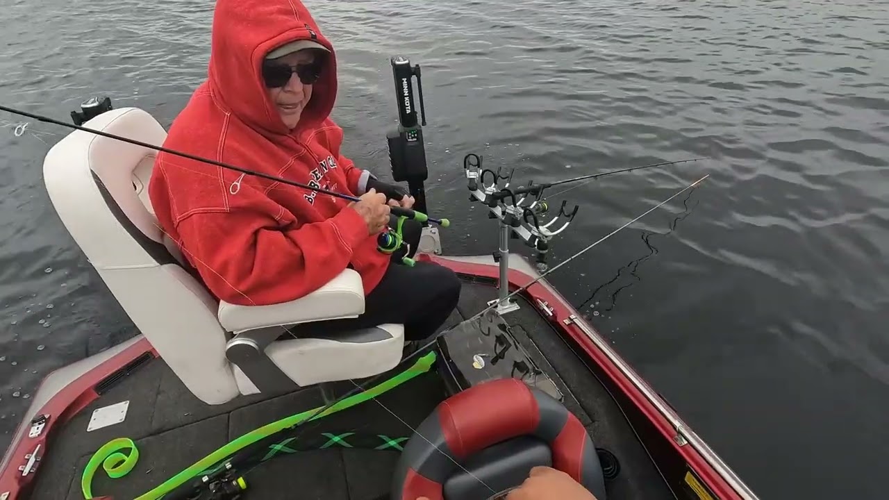 В пасмурный день оранжевый веслоносый ботинок папы спасает положение.