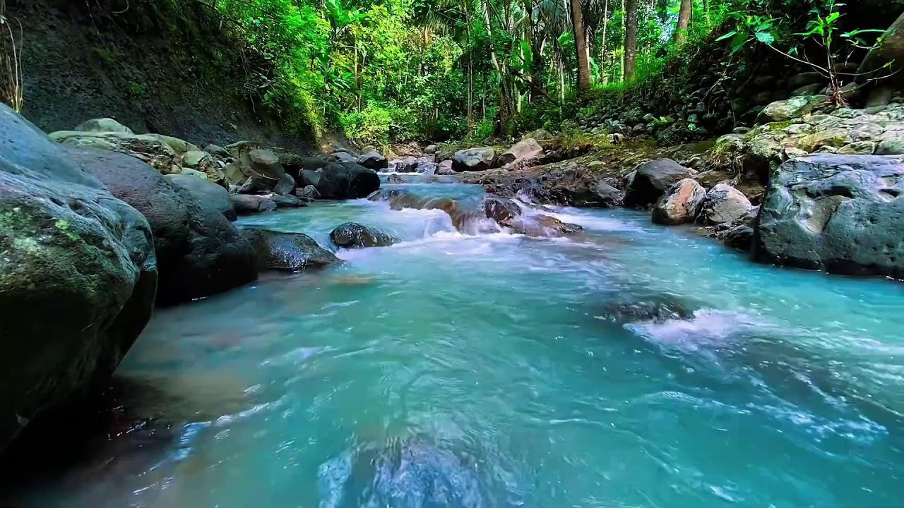 Natural Forest River Flow Sounds, Mountain Stream, Sleep