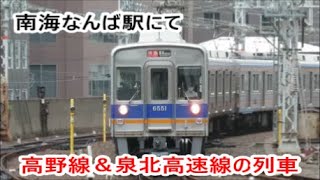 【南海なんば駅にて】泉北シルバニアファミリー号や快速急行(S6)と他形式併結運用など【高野線＆泉北高速線の列車】