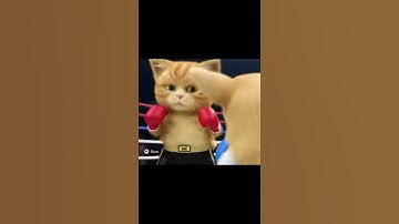 Fat Orange Cat vs Corgi 🥊😹 | Funny AI Animated Fight #Shorts