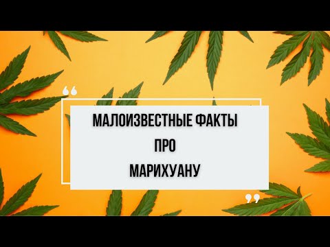 Малоизвестные факты про Марихуану