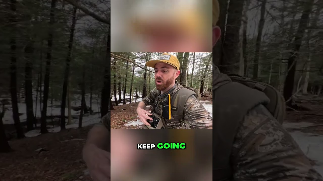 Searching for Antlers in the Forest: Can We Find Five? #shorts