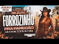 SELEÇÃO FORROZINHO PRA PAREDÃO 🪗 - AS MAIS TOPS 2.0 💥 JANEIRO 2026 🆕 | Rannyel Remix 🔥