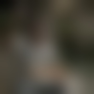 story' wa 30 detik WOKO CHANNEL