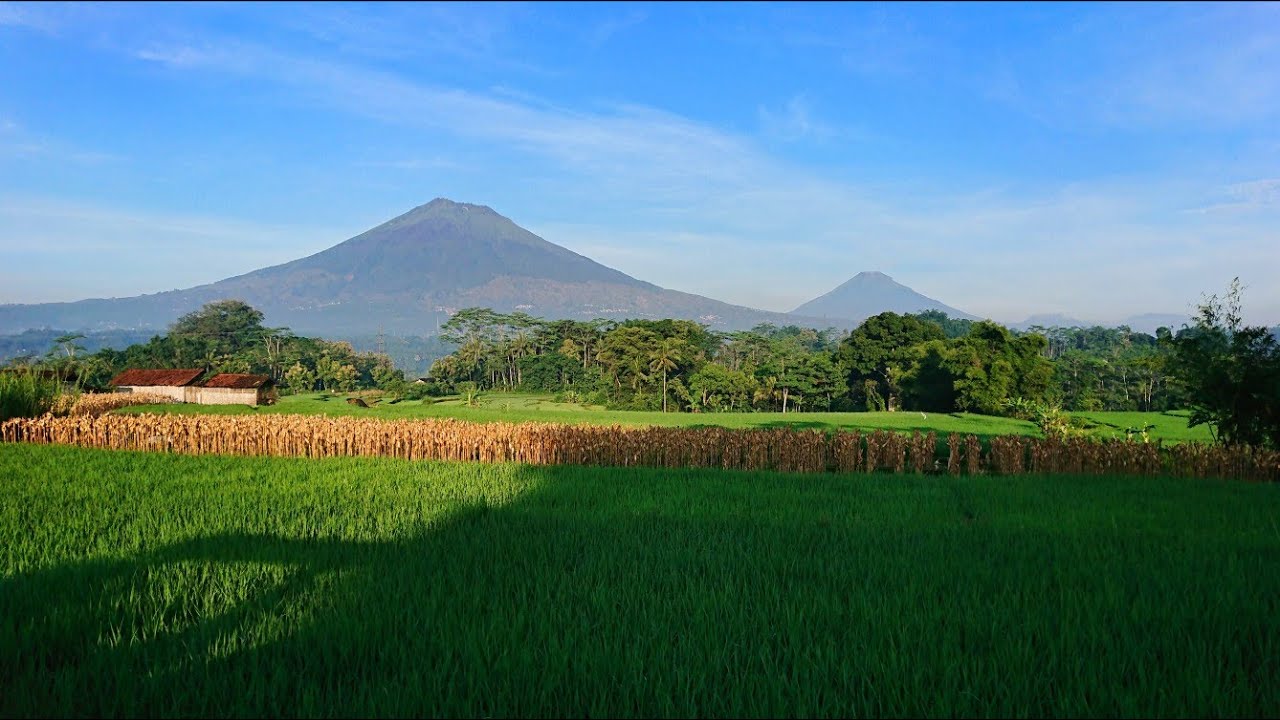 NYIDAM SARI ( INSTRUMENTAL CAMPUR SARI )