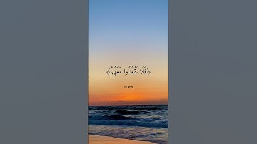 القارئ عبدالله الموسى - إذا سمعتم آيات الله يكفر بها ويستهزأ بها فلا تقعدوا معهم - من سورة النساء