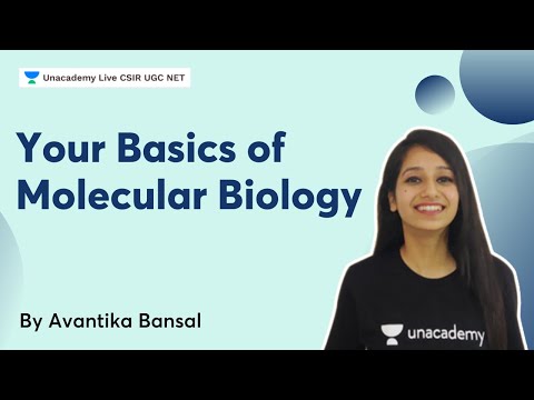 Your Basics of Molecular Biology | Avantika Bansal | CSIR UGC NET