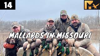 MALLARDS IN MISSOURI DAY 2 Duck Hunting Migration Waterfowl Hunt Ducks Mississippi Flyway Flight Day
