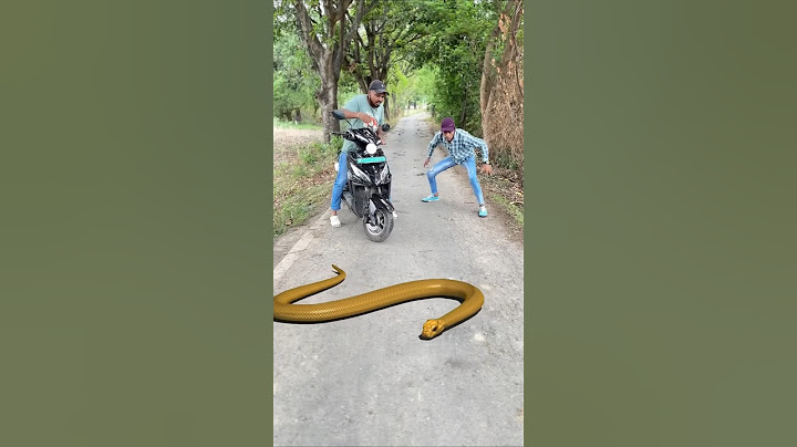 Naag Nagin Ne Pichla Badla Liya 🐍 Ep .1 #shorts #ytshorts #viral #naagin #naag