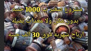 مشروع صغير ب 1000 جنيه بدون مكن أرباح 30 الف جنيه شهريا