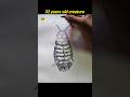 32 crore years old creature | factochill | #viral #cjp #facts