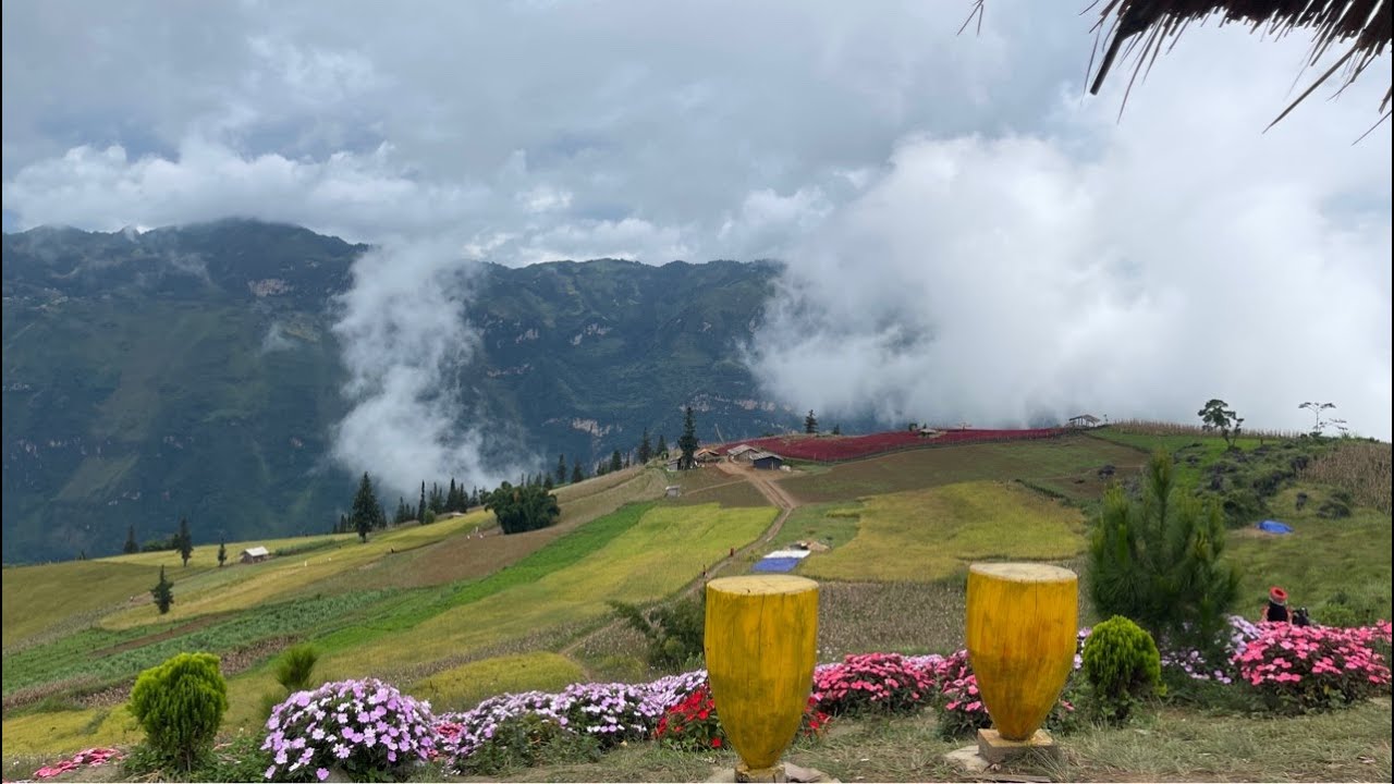 七七小荷正在河江直播