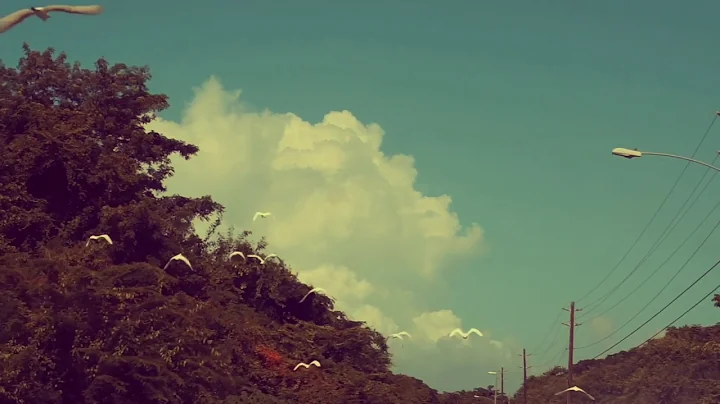 Raymond Matos (TheRayEye) around town edit