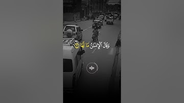 ماهر المعيقلي - سورة الزلزلة