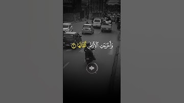ماهر المعيقلي - سورة الزلزلة