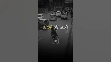 ماهر المعيقلي سورة الزلزلة 