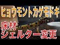 初めてのヒョウモントカゲモドキ飼育#11【床材、シェルター交換】