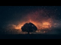 Post-Rock Instrumentals Compilation 🎸