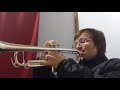 Hol&#39; Up By Kendrick Lamar Sample - Trumpet Cover