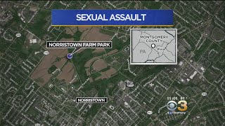 DA’s Office: Woman Sexually Assaulted At Gunpoint While Running In Park