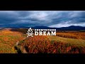 Forest sounds (CountrySideDream)