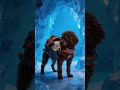 HEARTWARMING ICE RESCUE — Faithful Golden Retriever Hero 🐾
