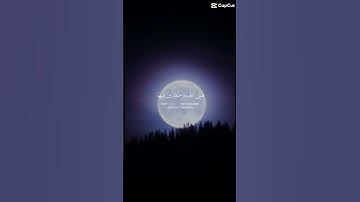 استمع للقرآن الكريم بس❤️❤️❤️20 ثانية❤️❤️❤️❤️😔😔