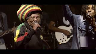 Ras natty baby live