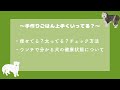 犬ご飯手作り講座｜体型管理とウンチで分かる健康状態について