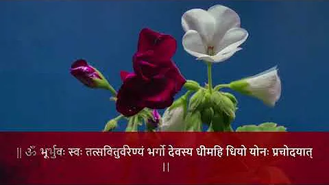 Best Gayatri Mantra Instrumental Flute || Best Meditation Video ||