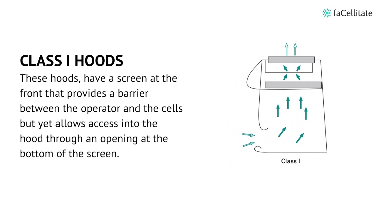 Equipment for cell culture & Cell culture hoods YouTube