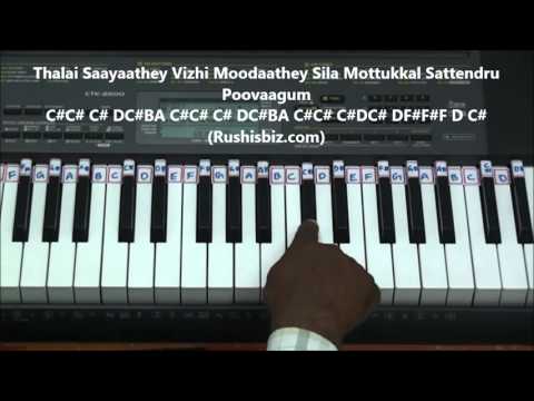 Vennilavae Vennilavae Piano Tutorials ( Minsara Kanavu )