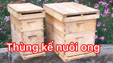 GIÁ RẺ Thùng kế nuôi ong 5 - 8 cầu như nước ngoài - Ong Xanh Beekeeping