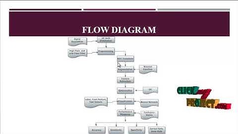 A novel approach for automated detection of focal EEG signals using empirical wavelet transform