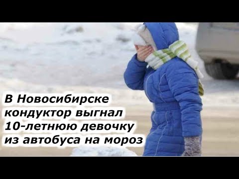 В Новосибирске кондуктор выгнал 10 летнюю девочку из автобуса на мороз