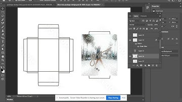 Shoe Box Package Design
