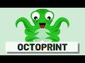 Come installare Octoprint per controllare la stampante 3D da remoto - Raspberry Pi 4